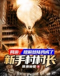 网游之我是新手村长