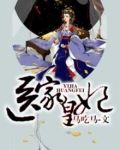 医家皇妃