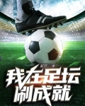 我在足坛刷成就TXT下载