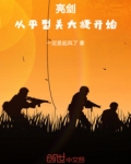 亮剑进攻平安县城