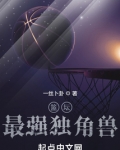 篮坛最强独角兽笔趣阁