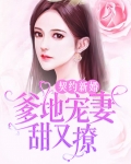 契约新婚：爹地宠妻甜又撩