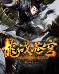 龙战苍穹 小说