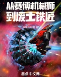 在赛博废土成为机械师
