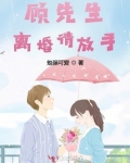 顾先生离婚请放手反转小说女主