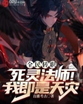 全民转职死灵法师我即是天灾免费阅读