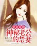 蜜爱宠婚：神秘老公的禁妻
