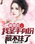 林圣手离婚后,神豪身份曝光了