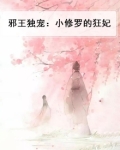 邪王独宠:小修罗的狂妃小说