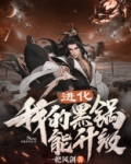 进化我的黑锅能升级