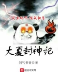 大夏封神记小说