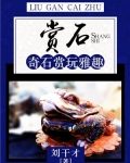 观赏石 奇石