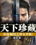 天下珍藏:从捡漏国之珍宝开始! BXT下书