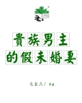 贵族男主的假未婚妻小说