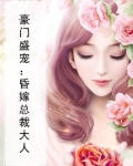 盛宠豪门甜妻:总裁大人,晚安