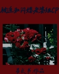 被迫和闪婚老婆组CP