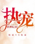 执宠 小说