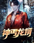 神丐龙婿