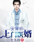 女神的上门医婿林烨小说