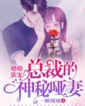 婚婚欲宠:总裁的神秘哑妻姚乐乐萧山