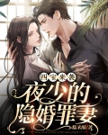 夜少强势锁婚小说全文免费阅读