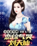 真实系男神,我气哭刘天仙番外篇