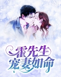 霍先生乖乖宠