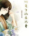 叶先生的乖巧妻