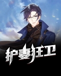 护妻狂魔 小说