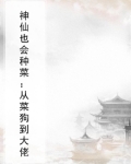 神仙也会种菜：从菜狗到大佬