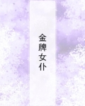 金牌女仆小说