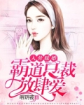 入骨暖婚,霸道总裁放肆爱 小说