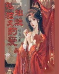 孤独又灿烂的爱