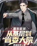 重生官场:从基层到省委大院