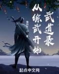 从综武开始:武道录作者:豫州牛