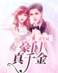 重生成豪门千金的宠文
