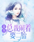 夫人,总裁闹着要二胎免费阅读