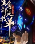 诸天万界:主角都是我弟