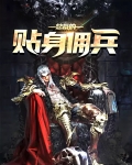 冷艳总裁的贴身佣兵