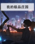 我的极品庄园