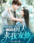 被虐离婚三年后前夫求我宠他小说