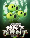 种植豌豆的方法步骤图片