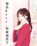 报告boss你出局了免费阅读