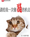 请给我一次做猫的机会