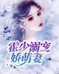 霍少宠小娇妻