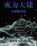 成为大佬的那些年