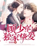 顾少的独家挚爱
