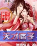 天才痞子有声小说