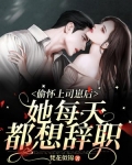 偷怀上司崽后,她每天都想辞职