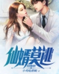 仙婿在上 小说